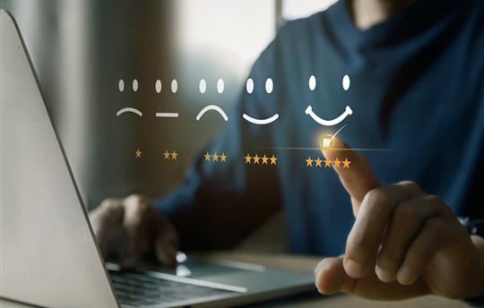 Customer reviewing a company on a computer screen